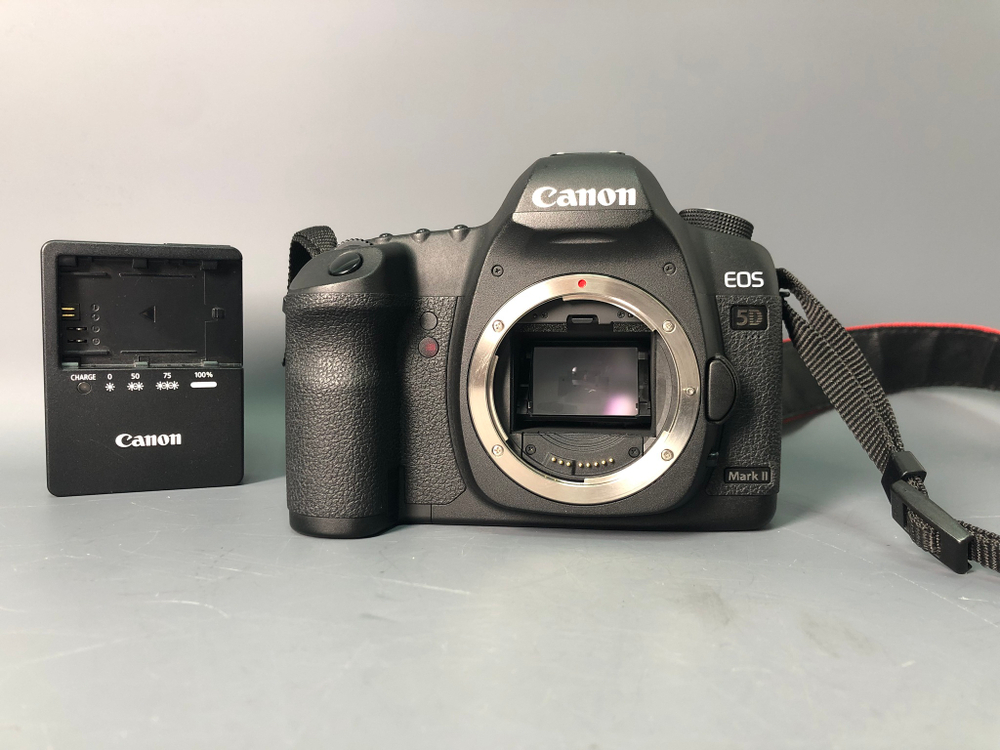 Canon EOS 5D Mark II, 13600 кадров пробега