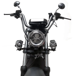 Электроскутер SKYBOARD BR100-5000 (Amur)