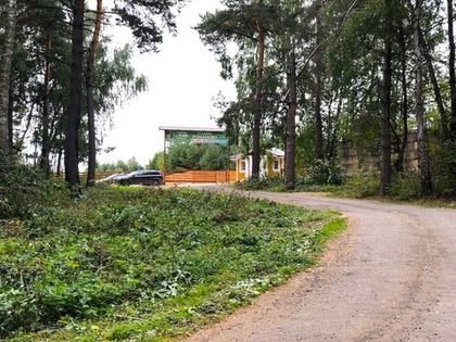 Вдоль подъездной дороги проведена вырубка подлеска