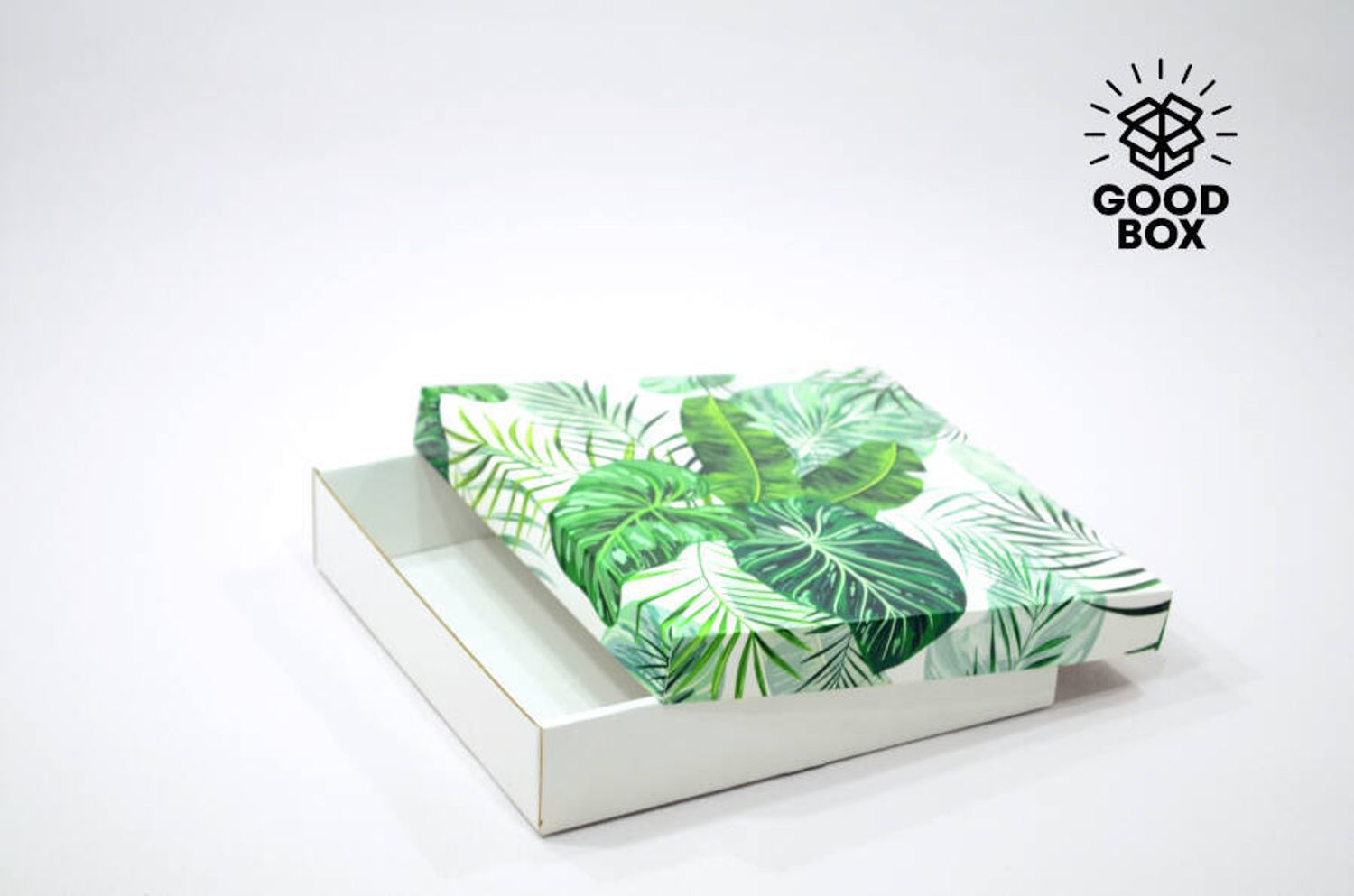 Коробка 250*250*50 