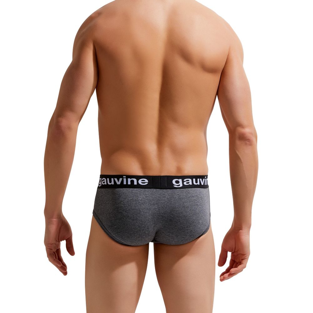Мужские трусы брифы темно-серые меланж GAUVINE 2006