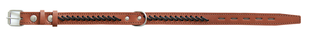 ZOONIK Ошейник кожаный 25 мм, кольцо посередине, 41-51 см