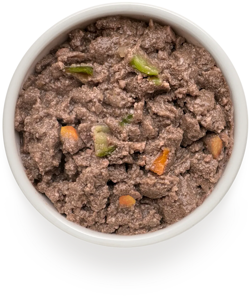 GRANDORF FRESH Монопротеиновый влажный корм из говядины с цукини и морковью для собак всех пород 200 г