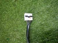 DSCN8924.jpg