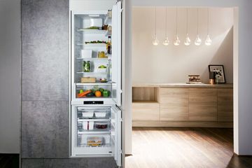 Встраиваемый холодильник Hotpoint-Ariston B 20 A1 FV C/HA