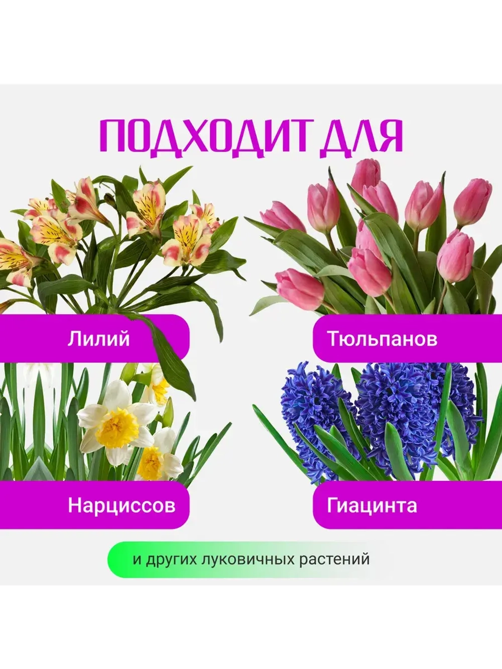 Органический грунт для луковичных растений 2,5 л
