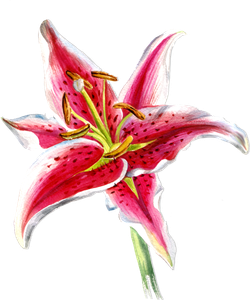 1111 новый товар3 111