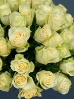 Розы белые 51 шт