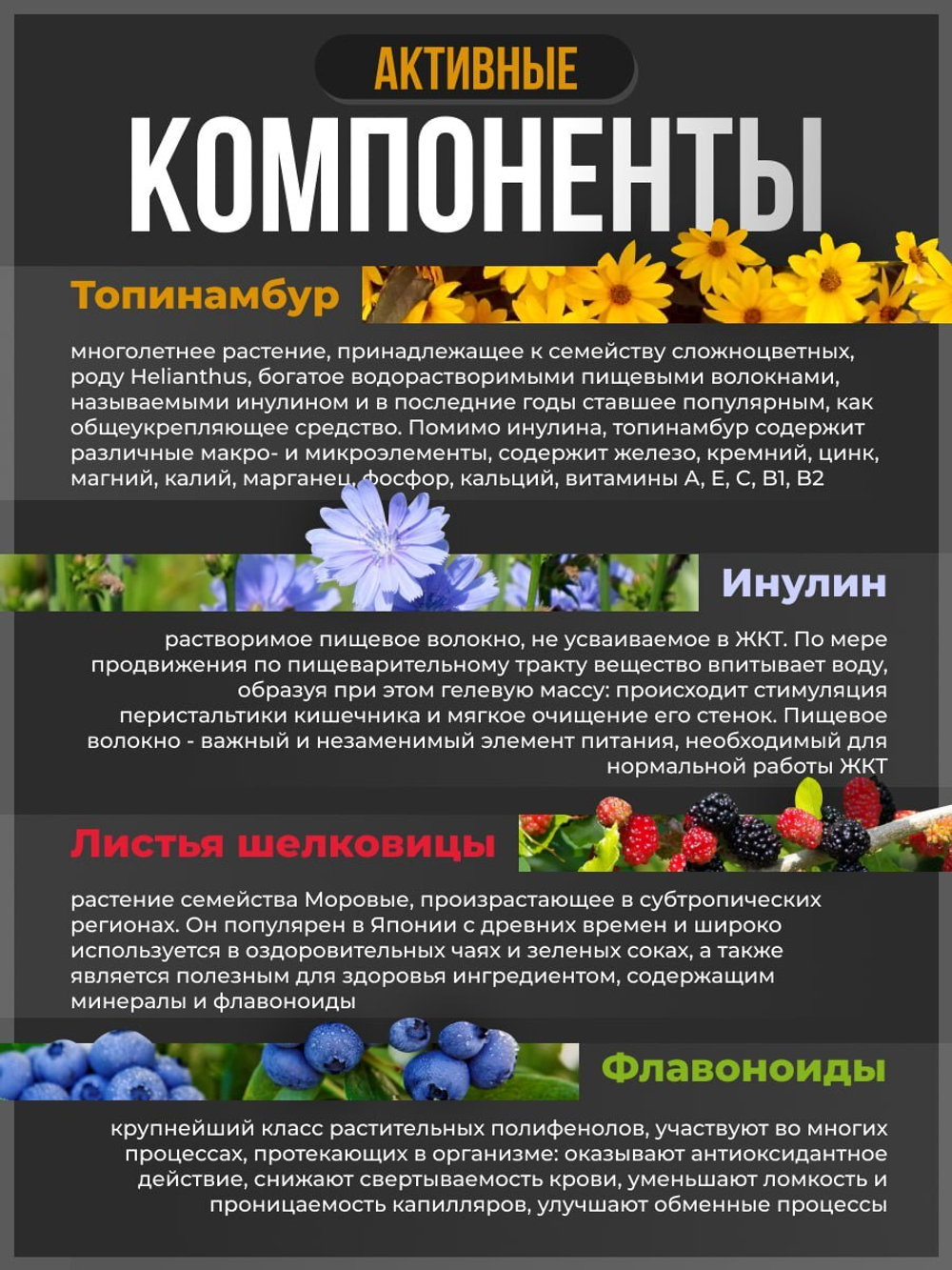 Природный пребиотик Инулин, топинамбур и листья шелковицы для защиты и здоровья кишечника, нормализации сахара в крови, 150 гранул