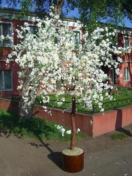 Искусственная Сакура белая 2м