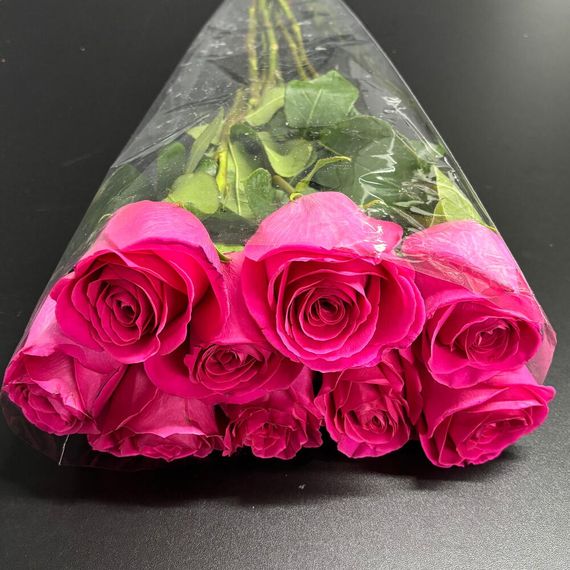 розы Pink Floyd Tecca