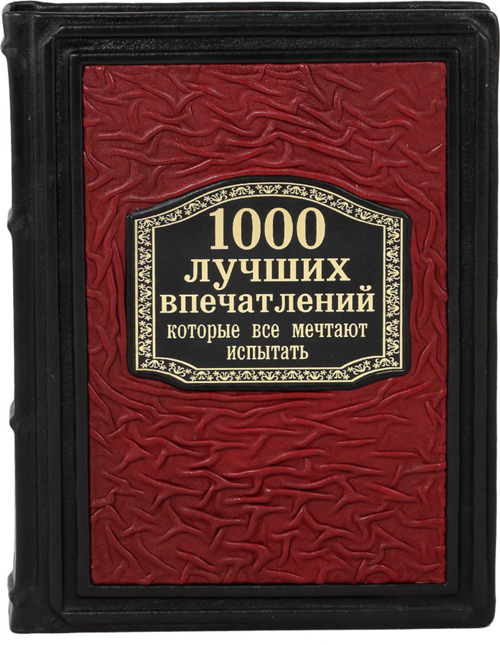 1000 лучших впечатлений, которые все мечтают испытать