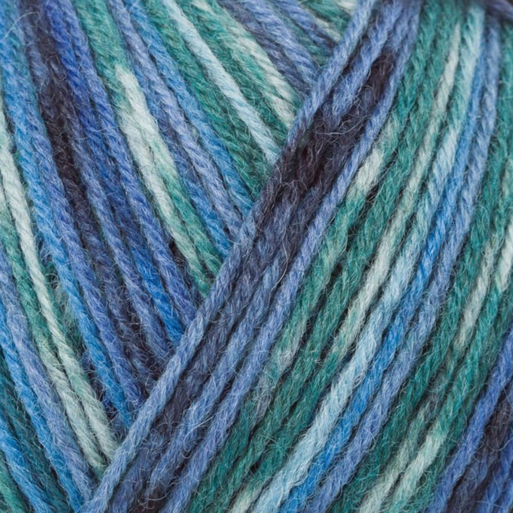 Regia Design Line 4 ply - 03658 (winter night color)