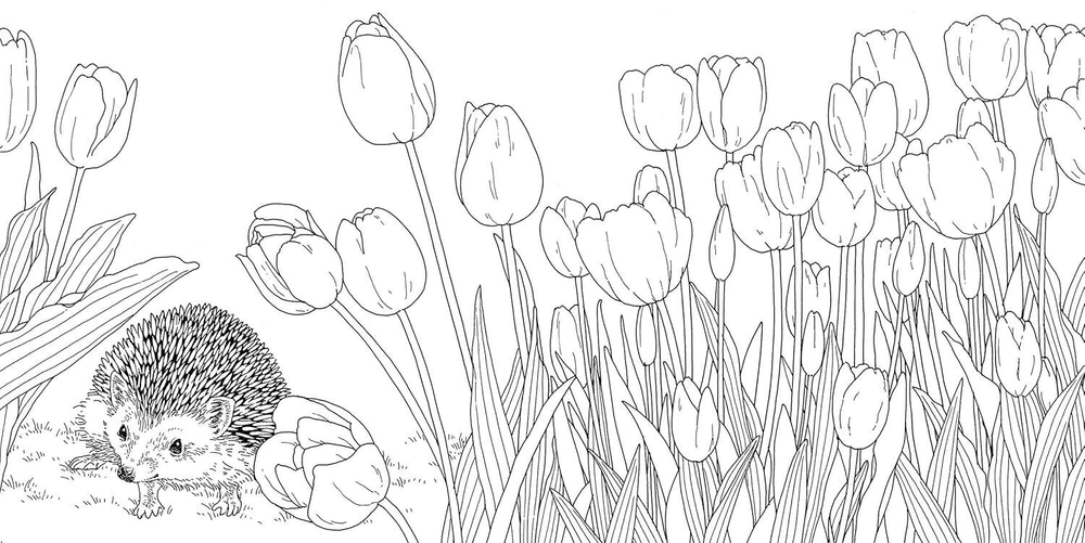 Gifts from animals Birth Moon Flower. Coloring Book