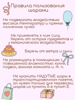 Воздушные шары Эльф розовый, Лабубу