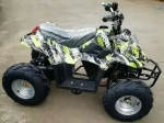 Электроквадроцикл Green Camel Гоби K50 (36V 800W R7 Цепной привод)