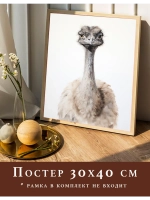 Постер 30х40 на стену интерьерный