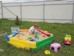 Песочница 5-х секционная Полимер-Групп(1820x1770x300см;20кг;) - арт.559242