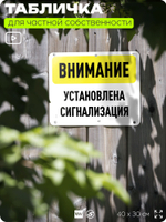 Табличка для частной территории "Внимание, установлена сигнализация", на дом, для участка, организаций и частных территорий, предупреждающая, 40х30 см, Silver Plane x Айдентика Технолоджи