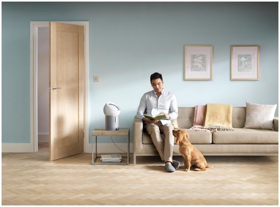 Очиститель воздуха Dyson Pure Cool Me персональный, белый/серебристый