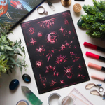 MINI PACK STARLIGHT