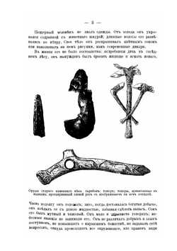 Учебник древней истории | Р.Ю. Виппер