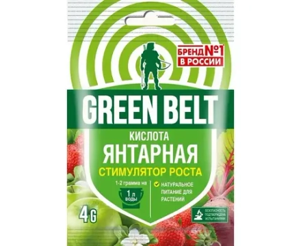 Кислота янтарная Грин Бэлт 4 г
