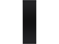 Портал Firelight Loft 30 камень черный, черная эмаль