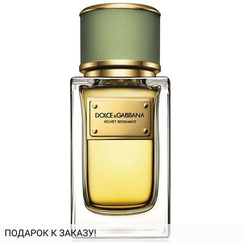 Dolce and Gabbana Velvet Bergamot