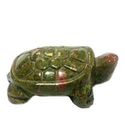 Черепаха унакит асс.