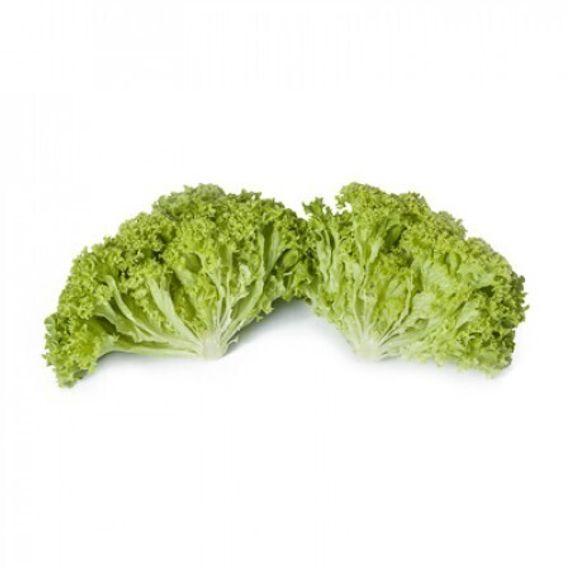 ЛУГАНО семена салата Rijk Zwaan купить