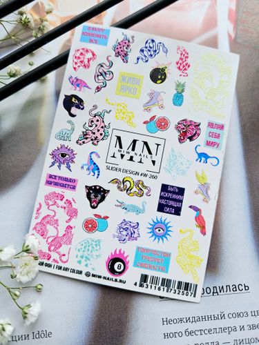 AUTUMN COLLECTION '2024