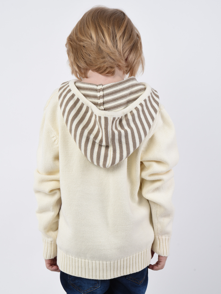 Свитер с капюшоном для мальчика