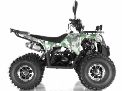 Квадроцикл WELS Thunder 125 Lux
