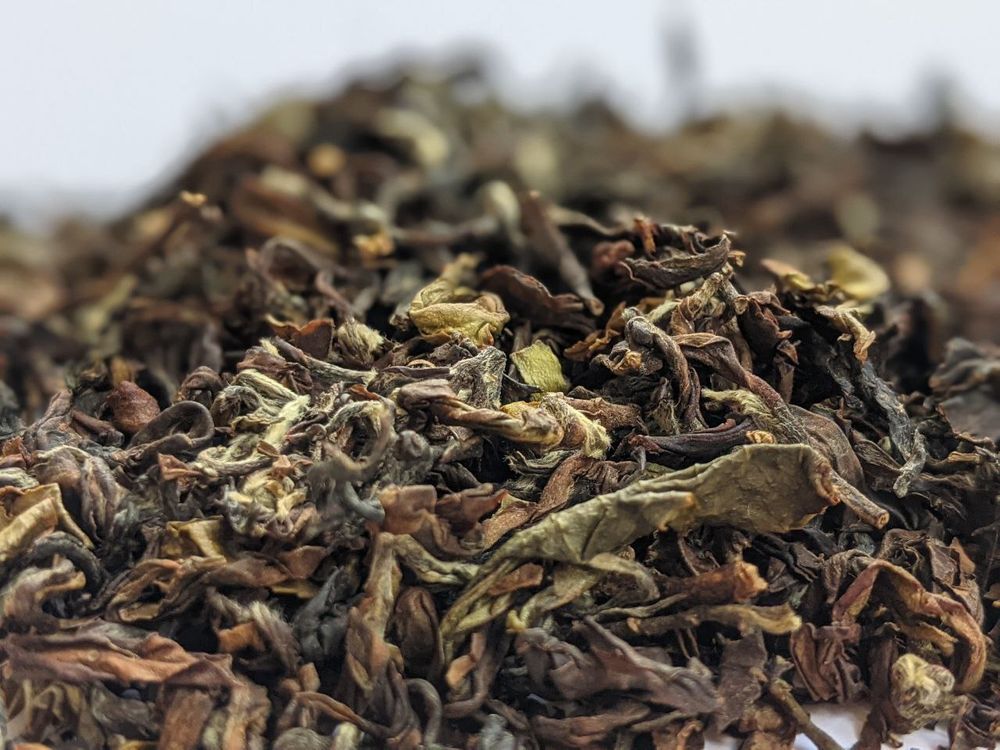 улун "Восточная красавица" Отборный (Дун Фан Мэй Жэнь Те Сюань)