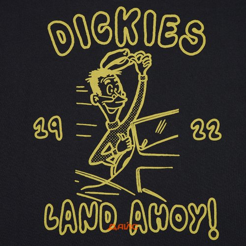 Футболка мужская Dickies Decartuville артикул:DK0A87QTBLK1 - купить в магазине Дайс