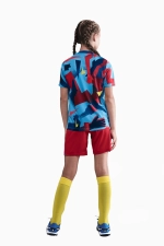 Футболка Nike FC Barcelona 25/26 Academy Pro Junior - многоцветный