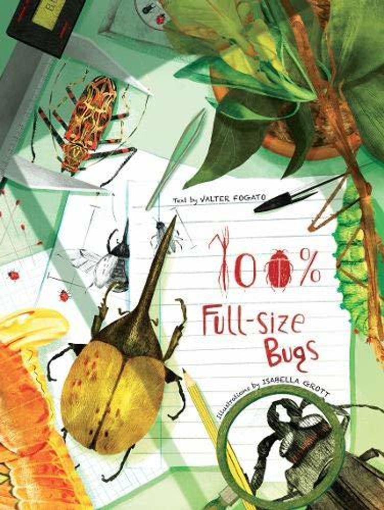 100% Full-Size Bugs