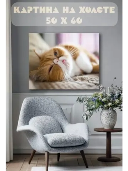 Картина на стену 40 X 50 Кошка