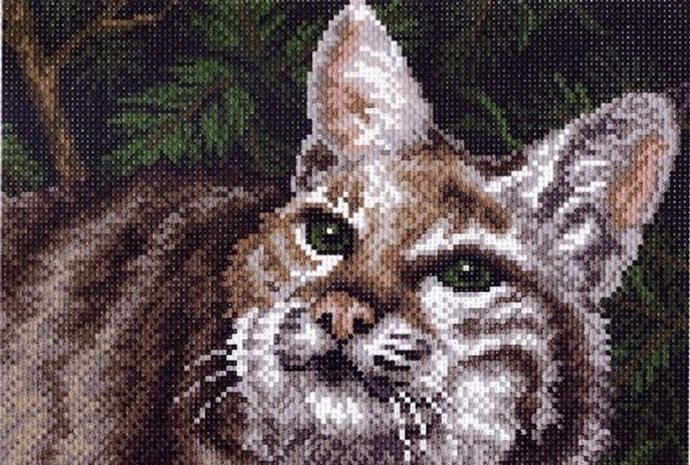 "Кошка"-1109 канва с рисунком