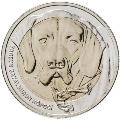 Каталбурун