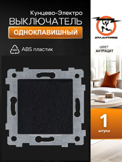 "Аксиома" Механизм выключателя одноклавишного скрытой установки С110-447 антрацит