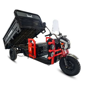 Грузовой электрический трицикл WHITE SIBERIA SIBTRIKE CARGO 1.8 3000W (60V/62Ah) фото №2