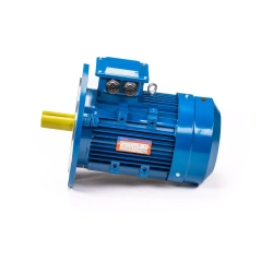 Электродвигатель 5АИ 100 L2 5,5/3000 IM3081