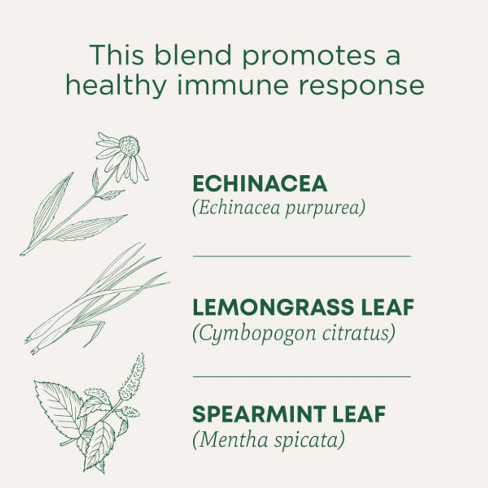 Traditional Medicinals, органическая эхинацея Plus®, оригинальная с мятой, без кофеина, 16 чайных пакетиков, 24 г (0,85 унции)