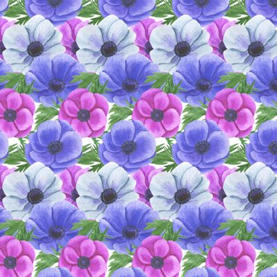 Анемоны акварель