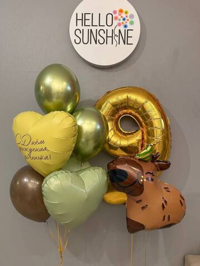 Набор шаров Капибара №2