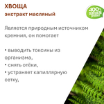 Экстракт хвоща, масляный