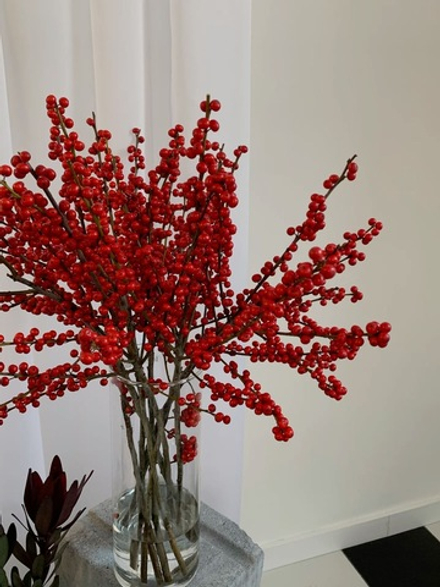 Илекс красный ветки