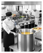 Миксер ручной Robot Coupe MP 450 V.V. Ultra LED